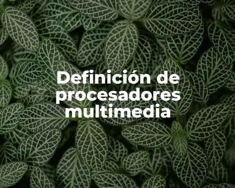 Definición de procesadores multimedia