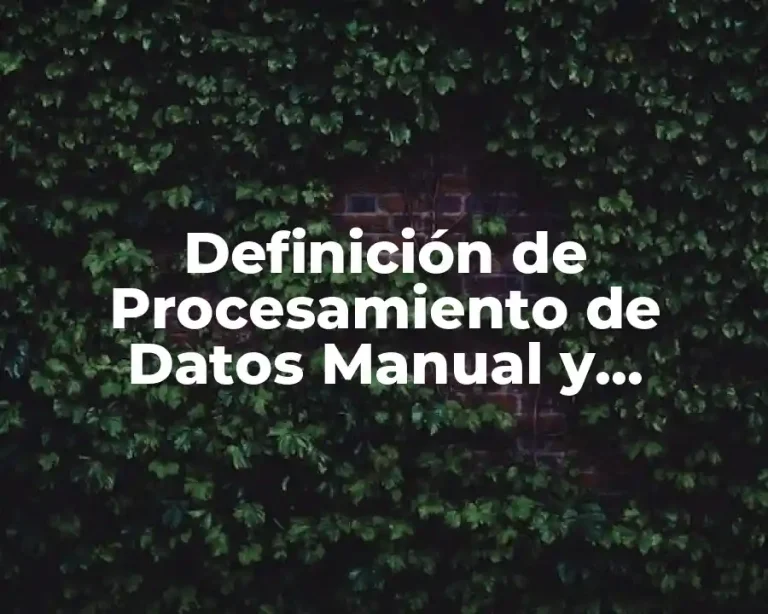 Definición de Procesamiento de Datos Manual y Electrónico