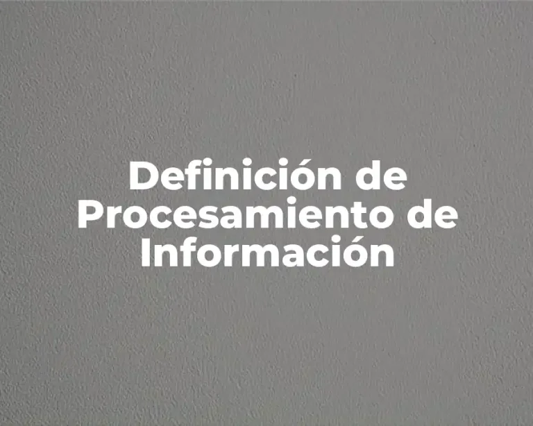 Definición de Procesamiento de Información