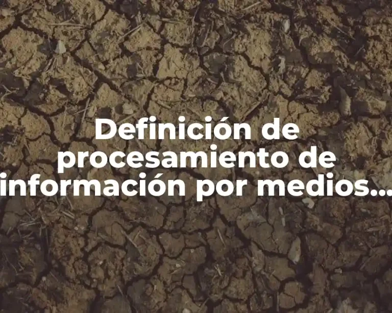 Definición de procesamiento de información por medios digitales