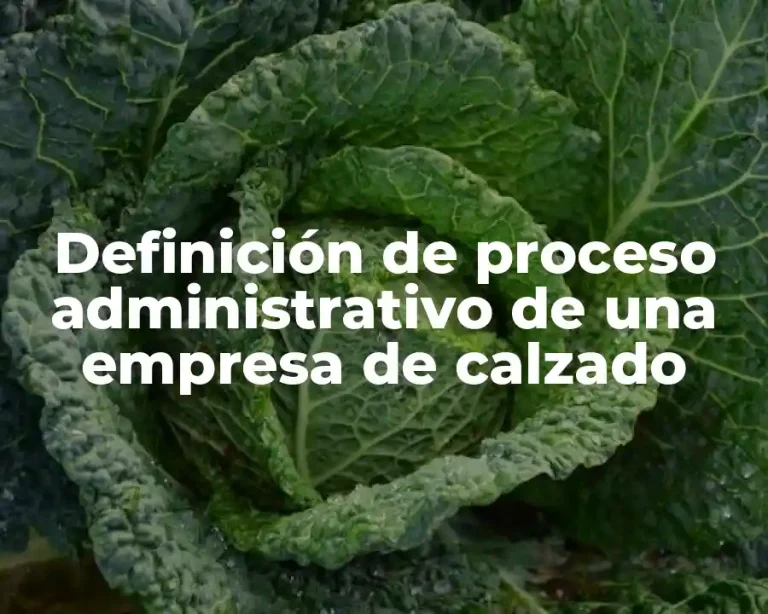 Definición de proceso administrativo de una empresa de calzado