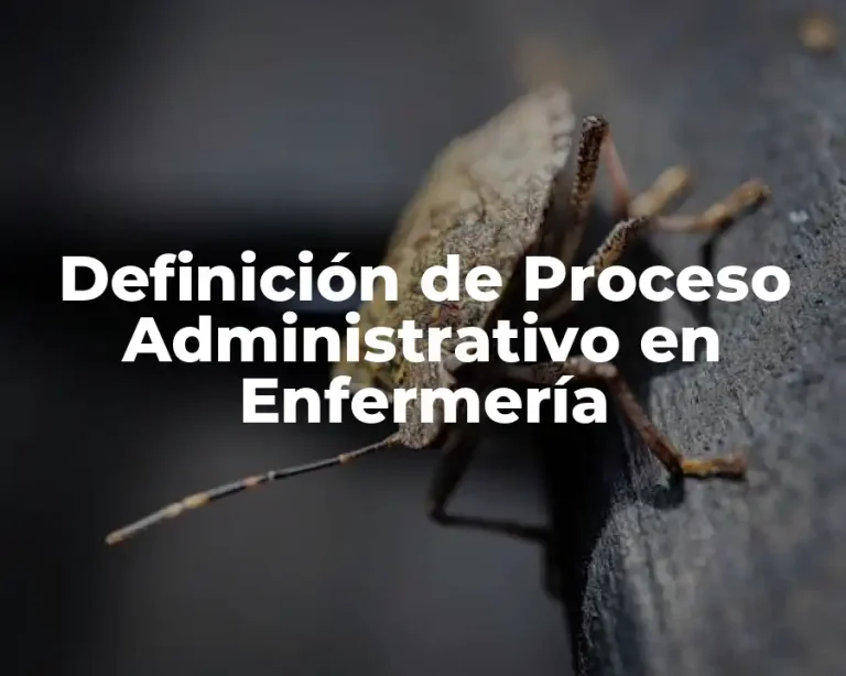Definición de Proceso Administrativo en Enfermería
