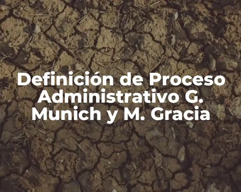 Definición de Proceso Administrativo G. Munich y M. Gracia
