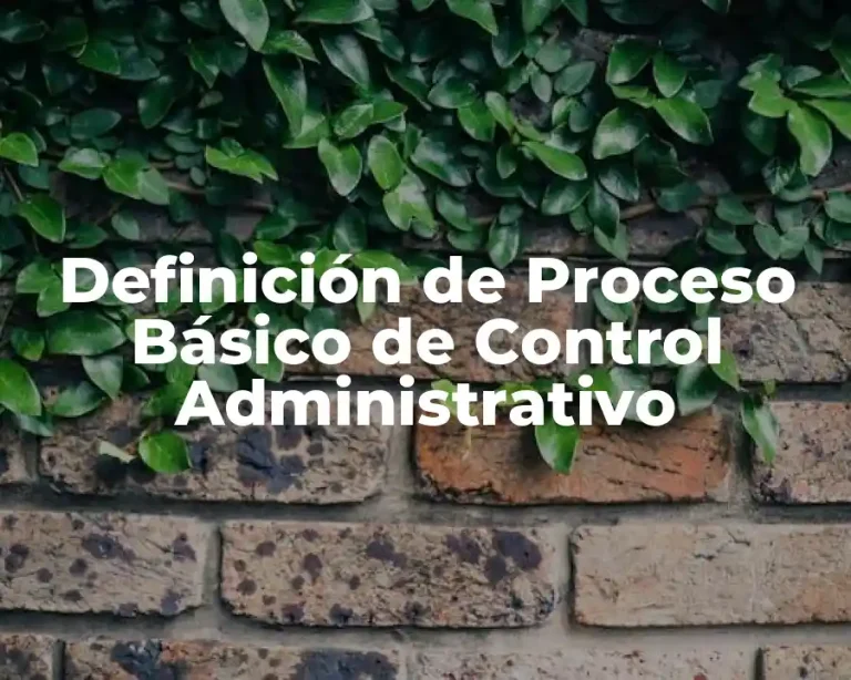 Definición de Proceso Básico de Control Administrativo