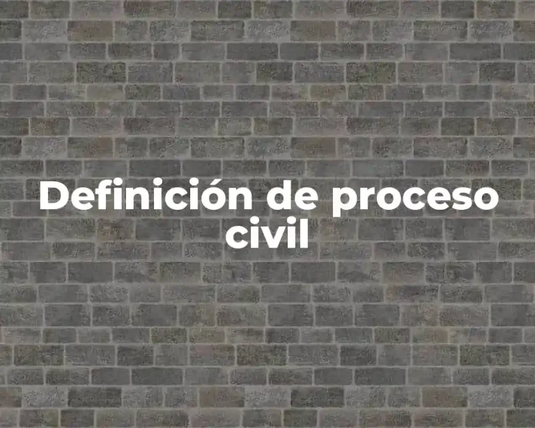 Definición de proceso civil