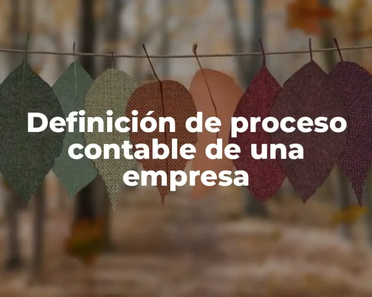 Definición de proceso contable de una empresa