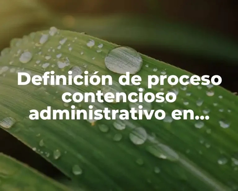 Definición de proceso contencioso administrativo en México