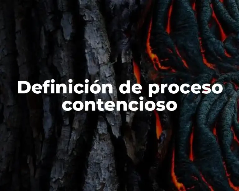 Definición de proceso contencioso