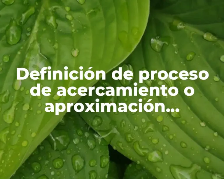 Definición de proceso de acercamiento o aproximación sociológica