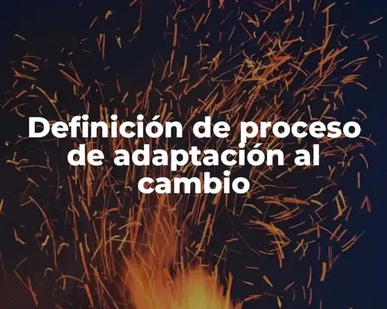 Definición de proceso de adaptación al cambio