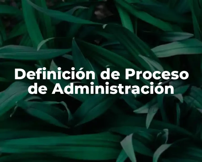 Definición de Proceso de Administración