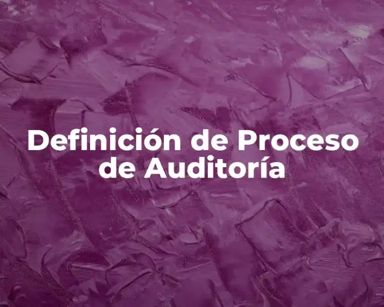 Definición de Proceso de Auditoría