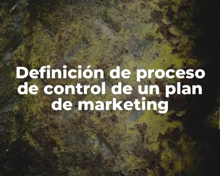 Definición de proceso de control de un plan de marketing
