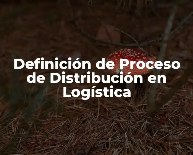 Definición de Proceso de Distribución en Logística