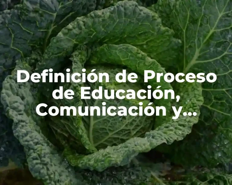 Definición de Proceso de Educación, Comunicación y Mercadotecnia