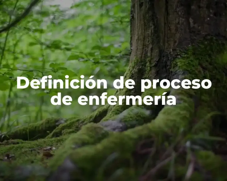 Definición de proceso de enfermería