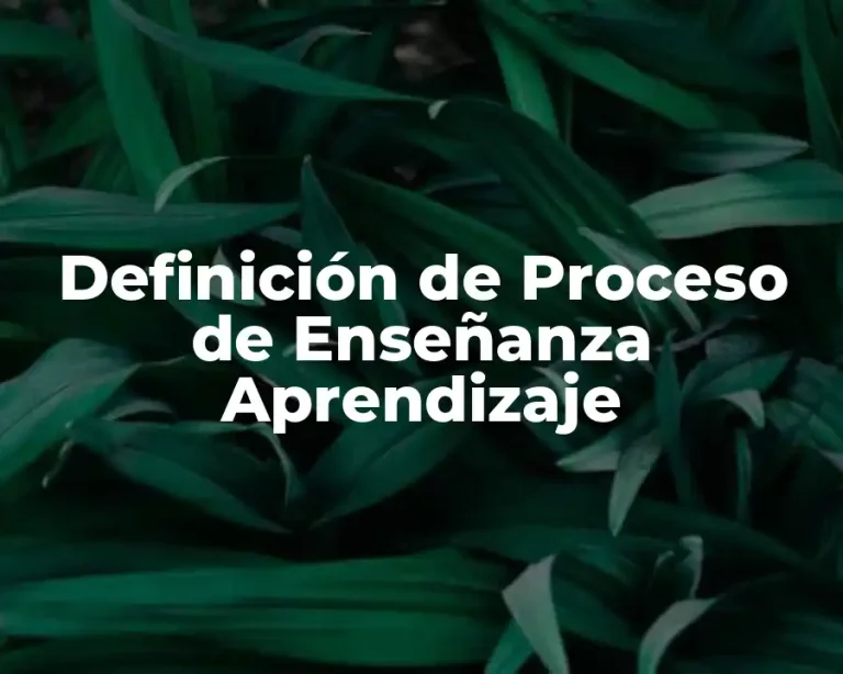 Definición de Proceso de Enseñanza Aprendizaje
