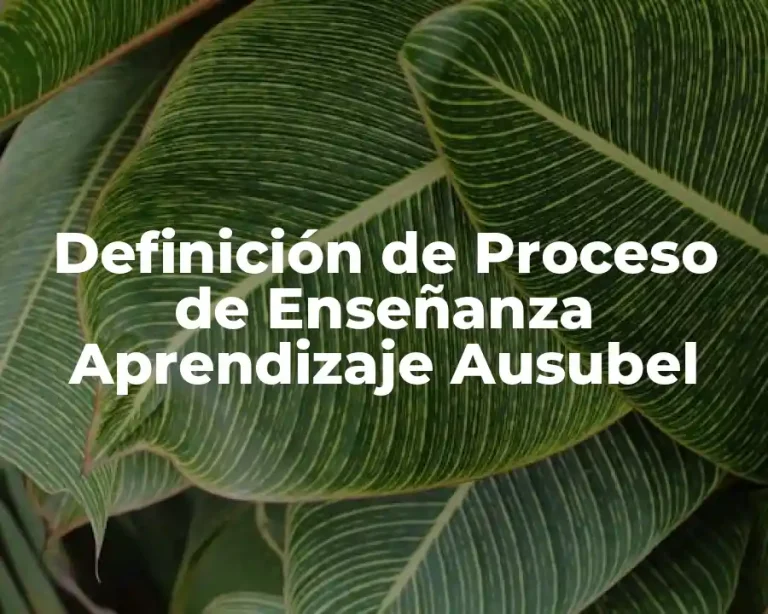 Definición de Proceso de Enseñanza Aprendizaje Ausubel