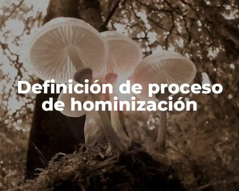 Definición de proceso de hominización