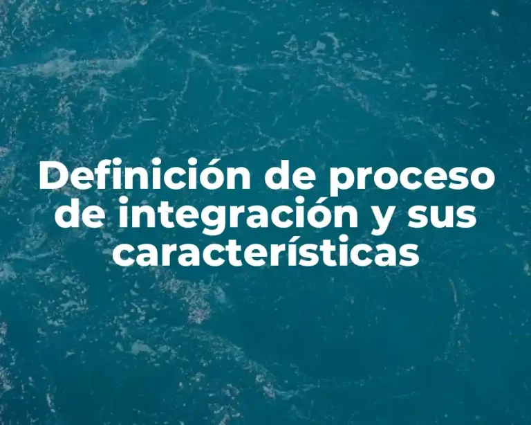 Definición de proceso de integración y sus características
