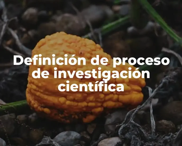 Definición de proceso de investigación científica