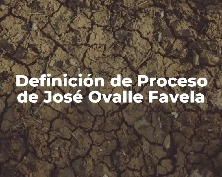 Definición de Proceso de José Ovalle Favela