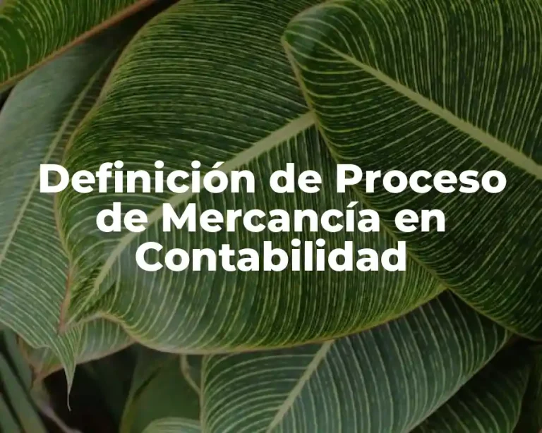 Definición de Proceso de Mercancía en Contabilidad