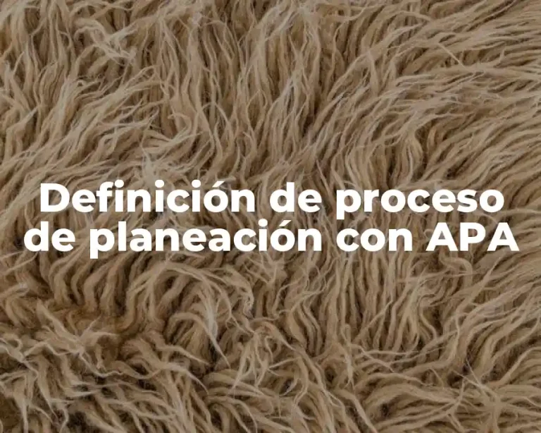 Definición de proceso de planeación con APA