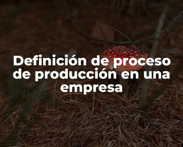 Definición de proceso de producción en una empresa
