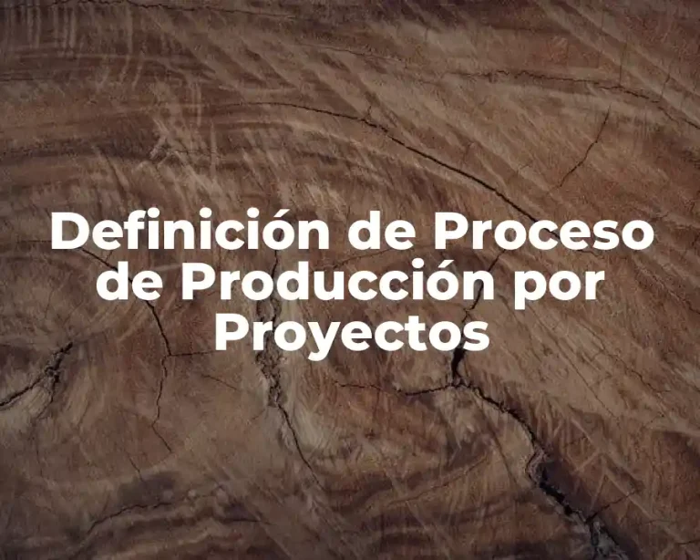 Definición de Proceso de Producción por Proyectos