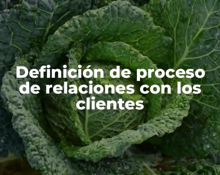 Definición de proceso de relaciones con los clientes
