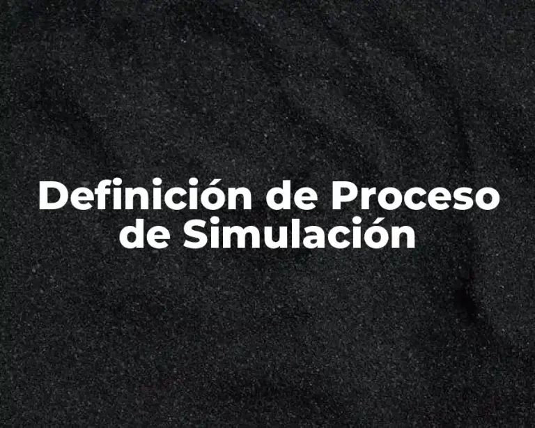 Definición de Proceso de Simulación