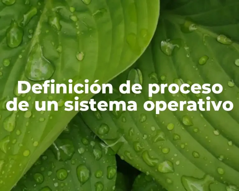 Definición de proceso de un sistema operativo