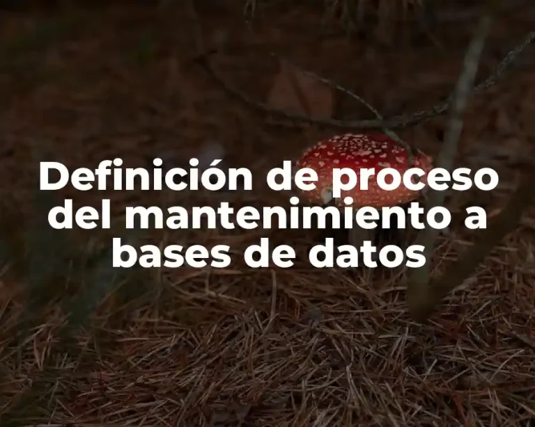 Definición de proceso del mantenimiento a bases de datos