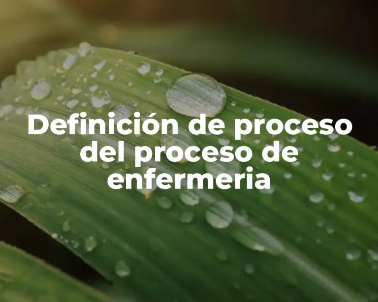 Definición de proceso del proceso de enfermeria