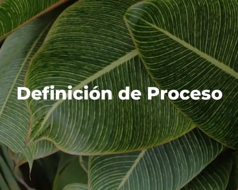 Definición de Proceso