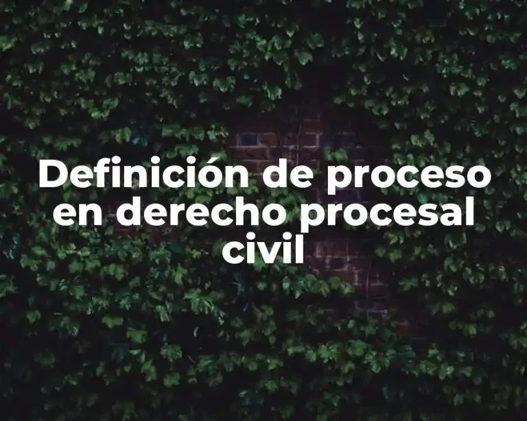 Definición de proceso en derecho procesal civil