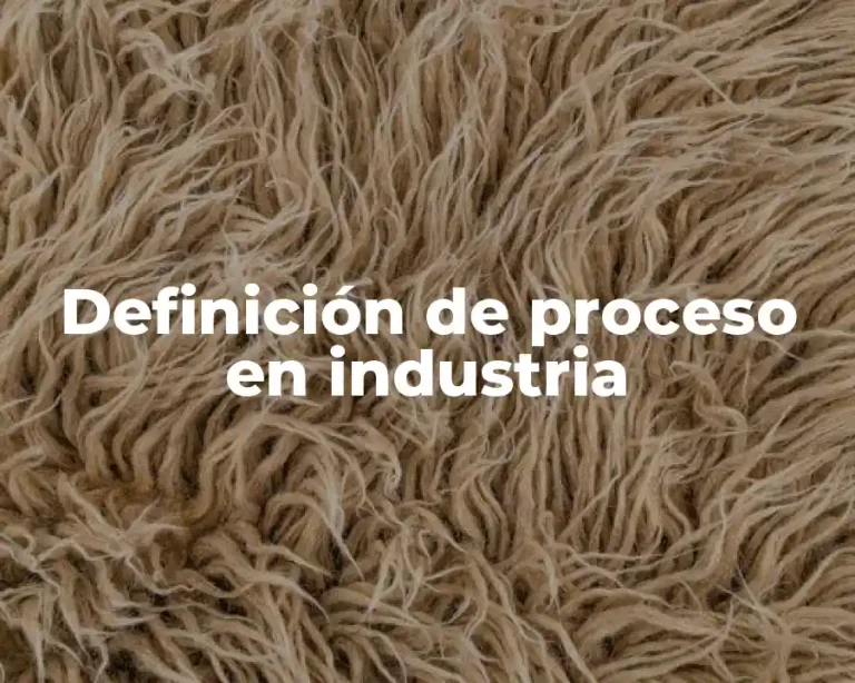 Definición de proceso en industria