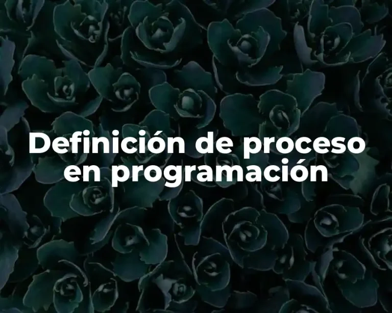 Definición de proceso en programación