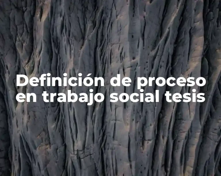 Definición de proceso en trabajo social tesis