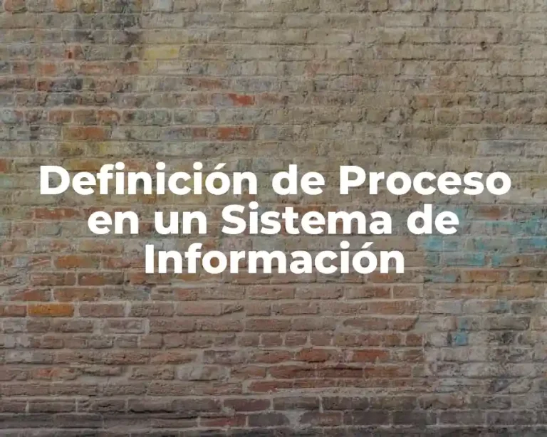 Definición de Proceso en un Sistema de Información