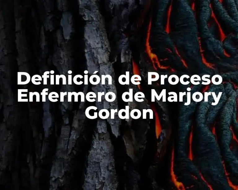 Definición de Proceso Enfermero de Marjory Gordon
