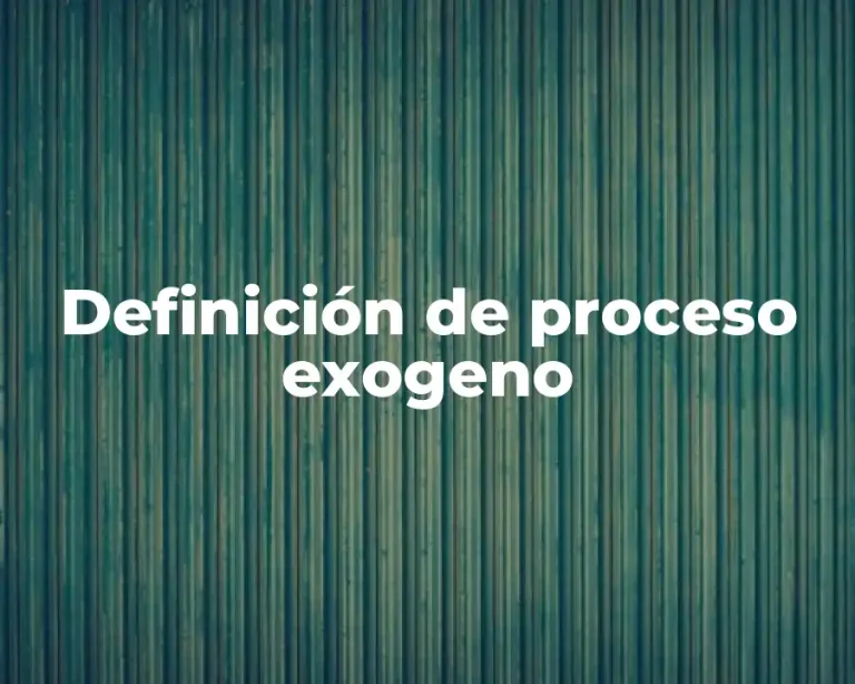 Definición de proceso exogeno