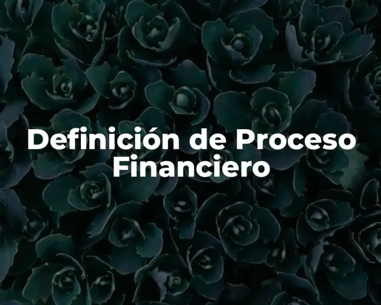 Definición de Proceso Financiero