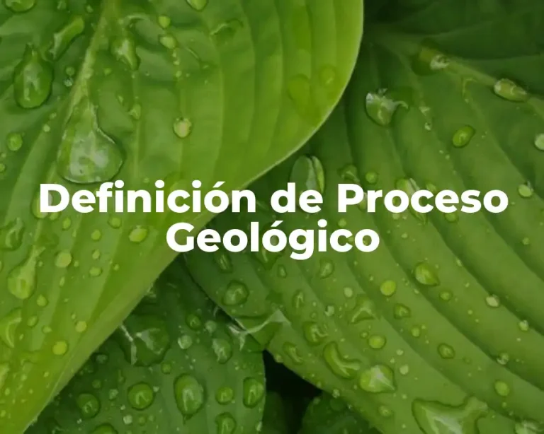 Definición de Proceso Geológico