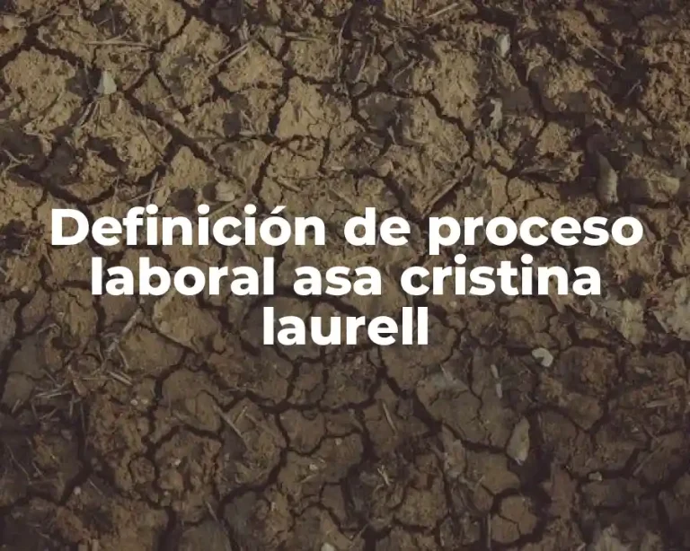 Definición de proceso laboral asa cristina laurell