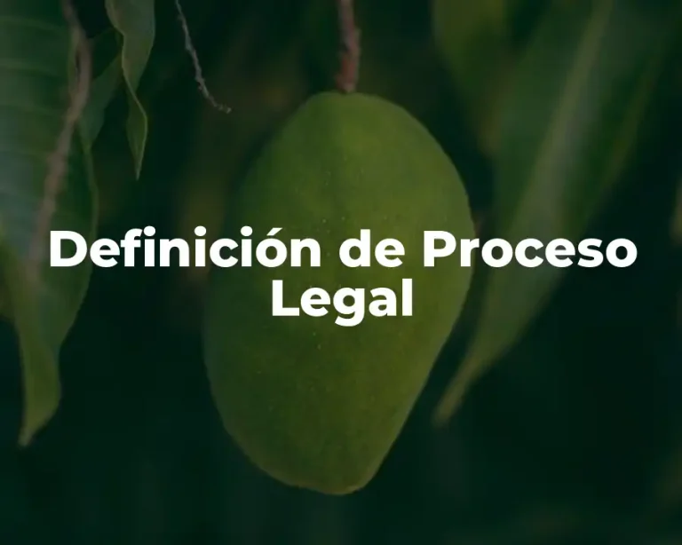 Definición de Proceso Legal