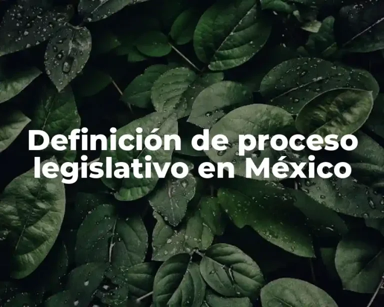 Definición de proceso legislativo en México