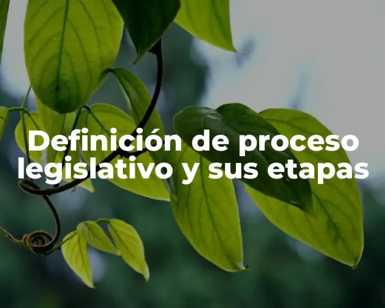 Definición de proceso legislativo y sus etapas