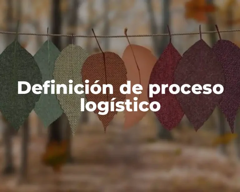 Definición de proceso logístico